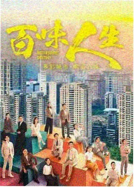 雾港档案 悬疑剧集在线观看封面